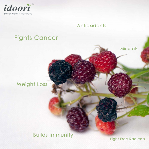 Top Benefits Of The Korean Black Raspberry Weight Loss Top Benefits Of The Korean Black Raspberry